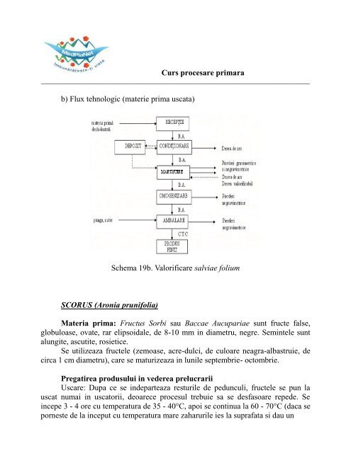 3.Curs procesare primara