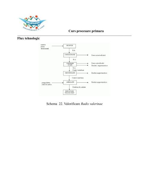 3.Curs procesare primara