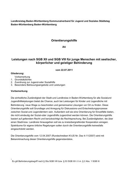 Orientierungshilfe zu Leistungen nach SGB XII und SGB VIII für ...