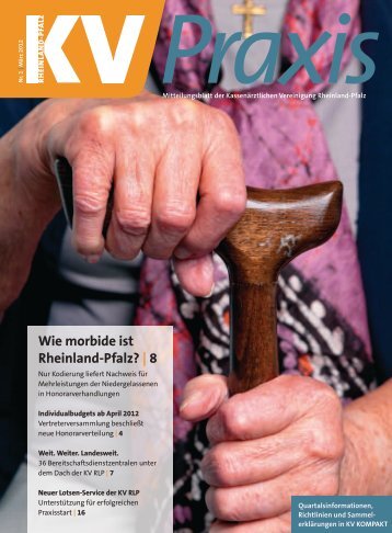Wie morbide ist Rheinland-Pfalz? | 8 - KV RLP