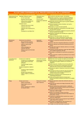 El pla de cures d'infermeria - INDI