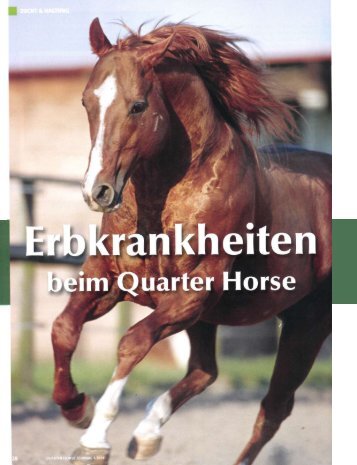 Erbkrankheiten beim Quarter Horse [pdf] - Laboklin