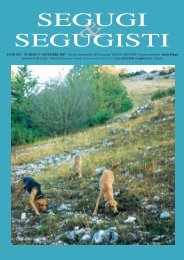 SEGUGI SEGUGISTI - Segugi e Segugisti