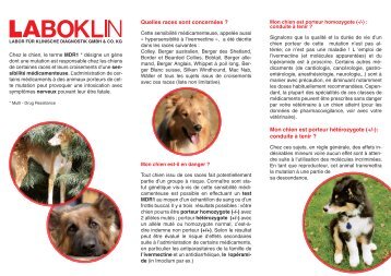 Flyer MDR1 FR.indd - Laboklin