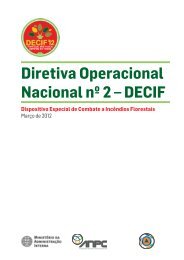 Diretiva Operacional Nacional nº 2 – DECIF - Bombeiros Portugueses