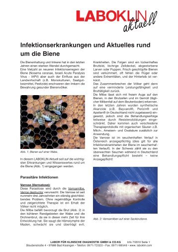 Infektionserkrankungen und Aktuelles rund um die Biene - Laboklin