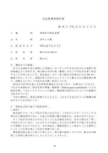 資料1 文化財調査報告書（沼サンゴ層）（PDF：896KB）