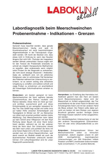 Labordiagnostik beim Meerschweinchen Probenentnahme - Laboklin