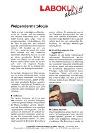 Welpendermatologie - Laboklin