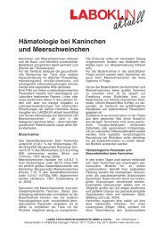 Hämatologie bei Kaninchen und Meerschweinchen - Laboklin