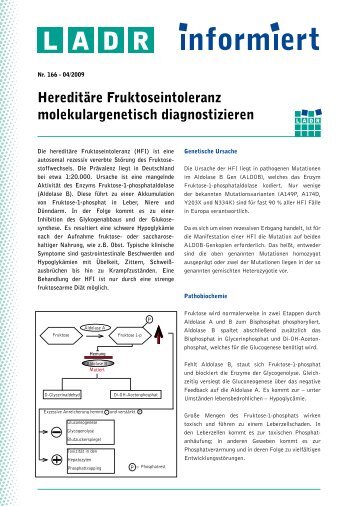 Hereditäre Fruktoseintoleranz molekulargenetisch ... - LADR