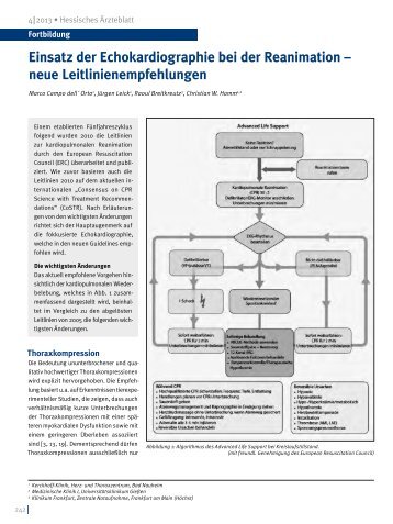 Einsatz der Echokardiographie bei der Reanimation