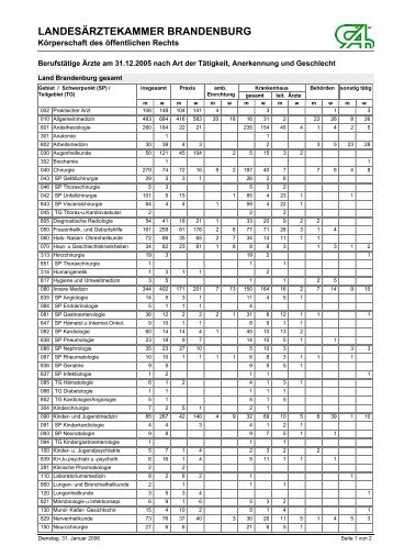 Berufstätige Ärzte am 31.12.2005 nach - Landesärztekammer ...