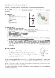 • Dibuixa com queden els 2 líquids en l'embut ... - INS Les Vinyes