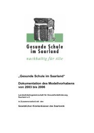 „Gesunde Schule im Saarland“ Dokumentation des ...