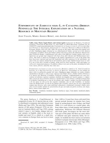 ETHNOBOTANY OF SAMBUCUS NIGRA L. IN CATALONIA ...