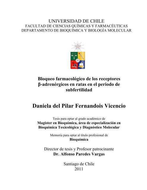Daniela del Pilar Fernandois Vicencio - Tesis Electrónicas ...