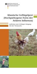 Klassische Geflügelpest (Hochpathogene Form der Aviären Influenza)