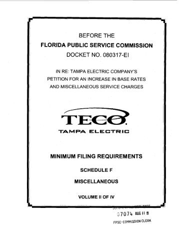 BEFORE THE FLORIDA PUBLIC SERVICE COMMISSION DOCKET ...