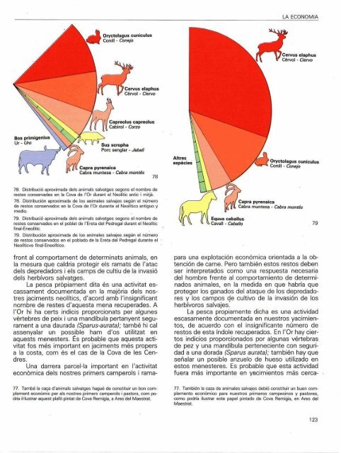 El Neolític valencià: Els primers agricultors i ... - Museo Prehistoria