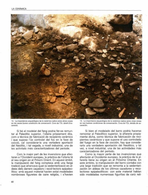 El Neolític valencià: Els primers agricultors i ... - Museo Prehistoria