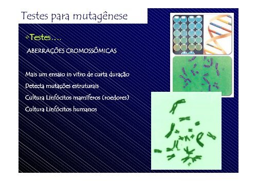 Monitoramento da Exposição a Substâncias Químicas de Interesse ...