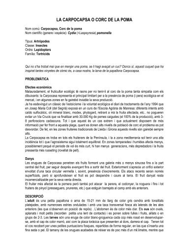 El cuc de la poma. Ecoagricultura núm.54, 1997