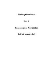 Bildungskursbuch 2013 - Lebenshilfe Regensburg