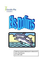 Els Dofins - Escola Pia de Granollers