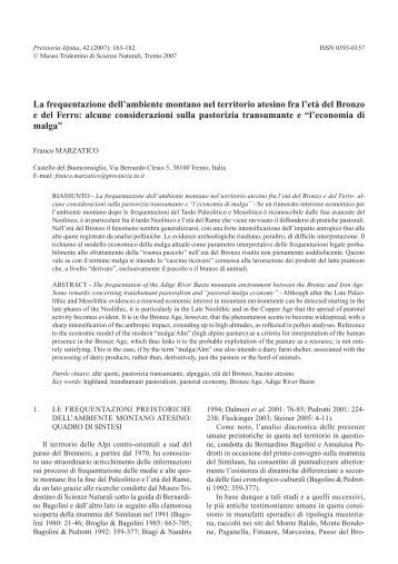 La frequentazione dell'ambiente montano nel territorio atesino fra l ...