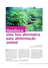 Mandioca: uma boa alternativa para alimentação animal - Seagri