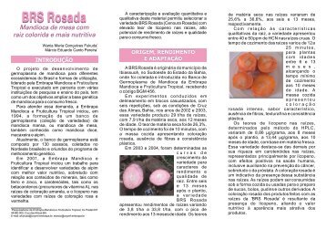 BRS Rosada - Embrapa Mandioca e Fruticultura