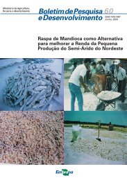 Raspa de Mandioca como Alternativa para melhorar a Renda da ...