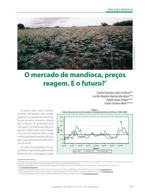 O mercado de mandioca, preços reagem. E o futuro? - Seagri