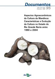Aspectos Agroeconômicos da Cultura da Mandioca: Características ...