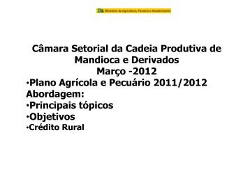 Câmara Setorial da Cadeia Produtiva de Mandioca e Derivados ...