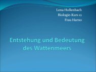 Entstehung und Bedeutung des Wattenmeers