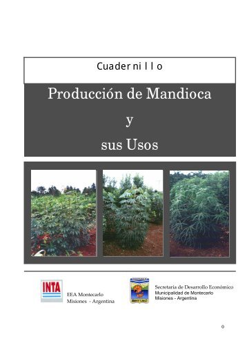 Producción de Mandioca y sus Usos