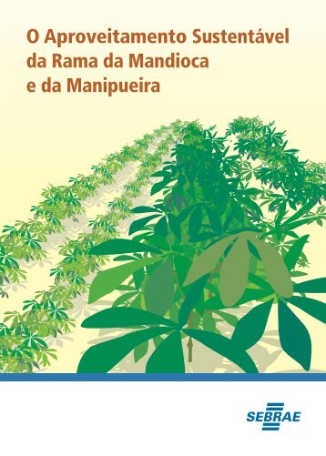 O Aproveitamento Sustentável da Rama da Mandioca e da ...