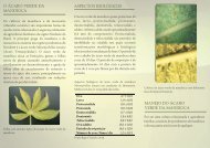Conheça o ácaro verde da mandioca - Embrapa Tabuleiros Costeiros
