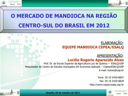 o mercado de mandioca na região centro-sul do brasil em 2012