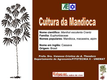 Aula sobre mandioca - Agroecologia