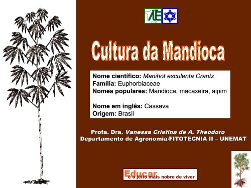 Aula sobre mandioca - Agroecologia