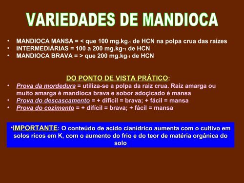 Aula sobre mandioca - Agroecologia