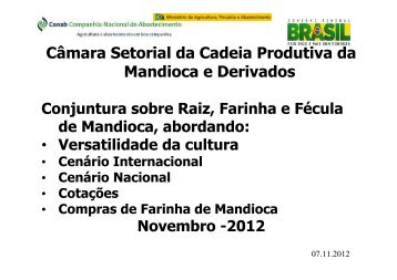 Câmara Setorial da Cadeia Produtiva da Mandioca e Derivados