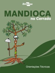manual mandioca cerrado - Fundação Banco do Brasil