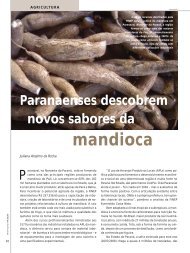 Paranaenses descobrem novos sabores da mandioca - Finep