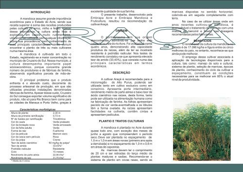 Araçá: Cultivar de Mandioca para a Microrregião do Alto Purus, Acre