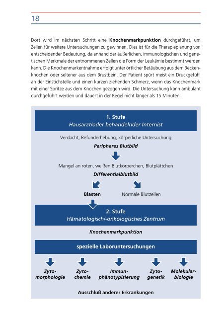 Die Akute Myeloische Leukämie - Leukämiehilfe RHEIN-MAIN geV