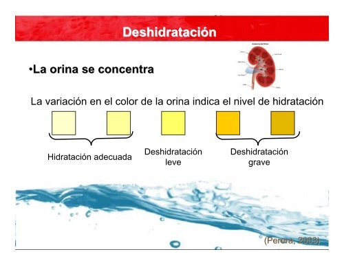 Deshidrataci%C3%B3n%20Tipos%20Causas%20y%20Consecuencias_Rosa%20Mar%C3%ADa%20Ortega